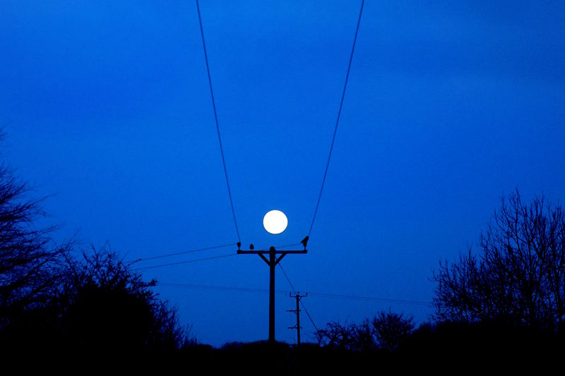 Wires Moon