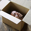Head